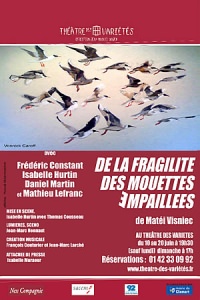 De la fragilité des mouettes empaillées